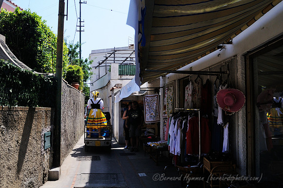 D300_135396