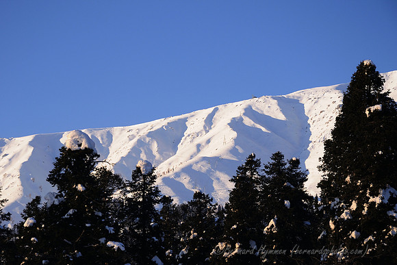 D300_69014